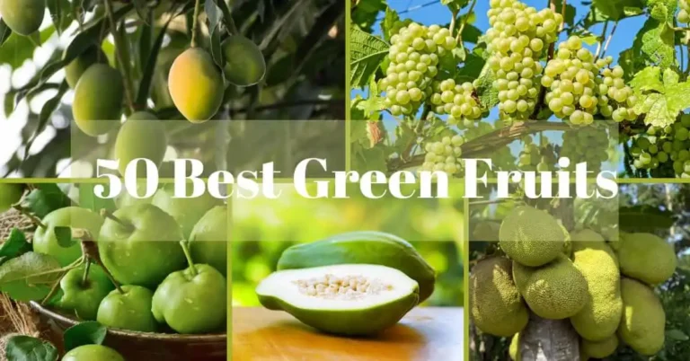 50 Best Green Fruits which you can add in your diet