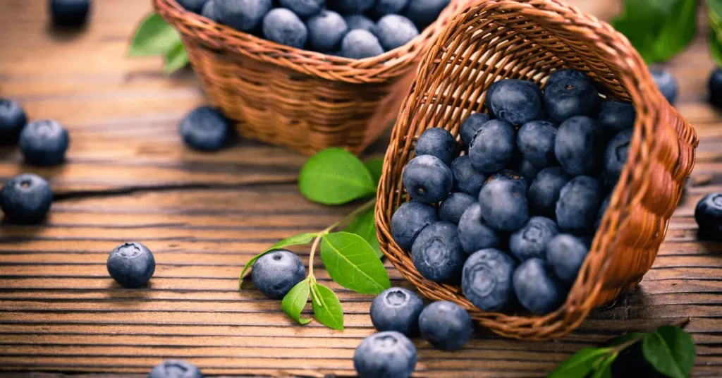 Blueberries supporting immune system