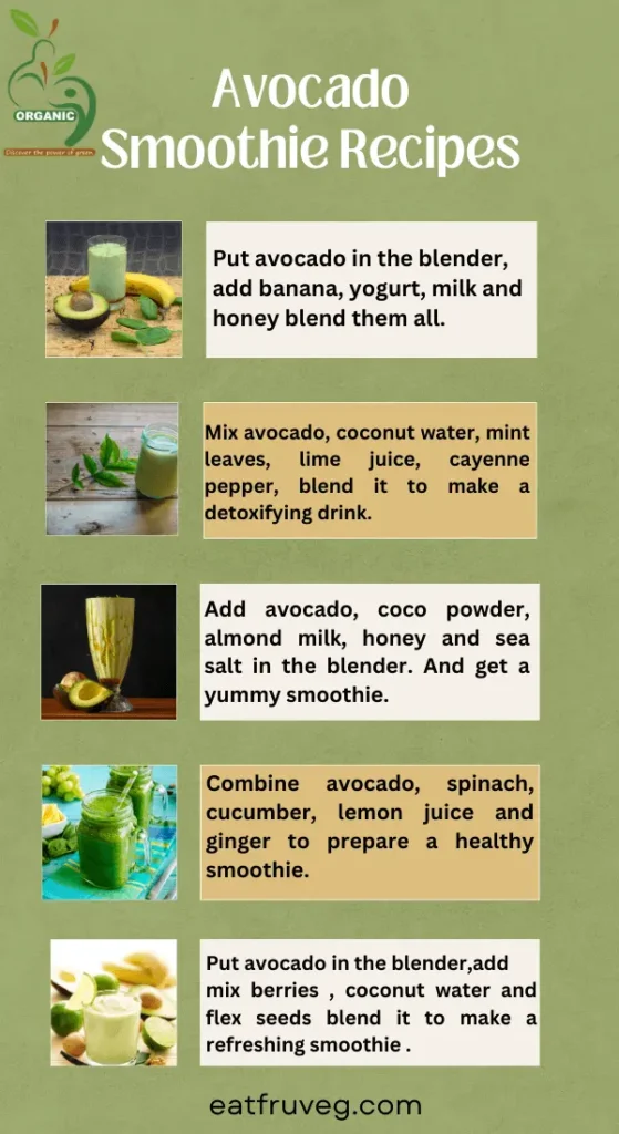 Info graph: Best Avocado Smoothie Recipes