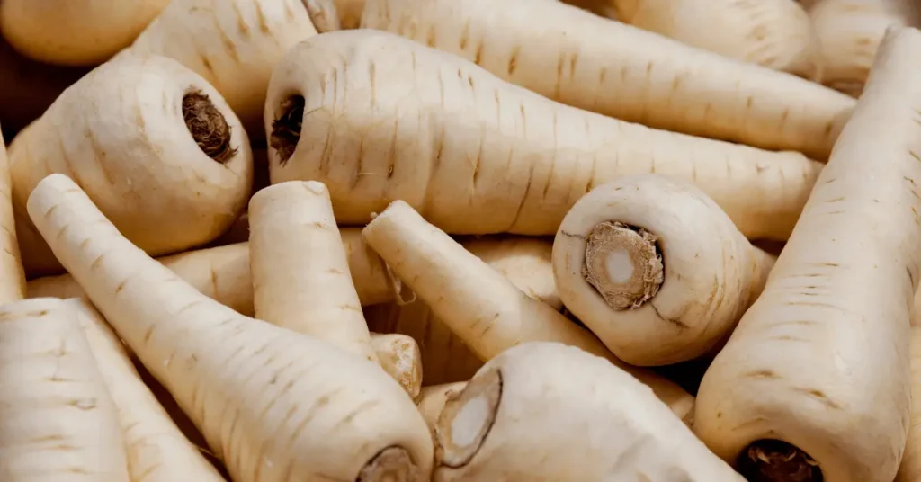 Parsnips are resembling with white carrots