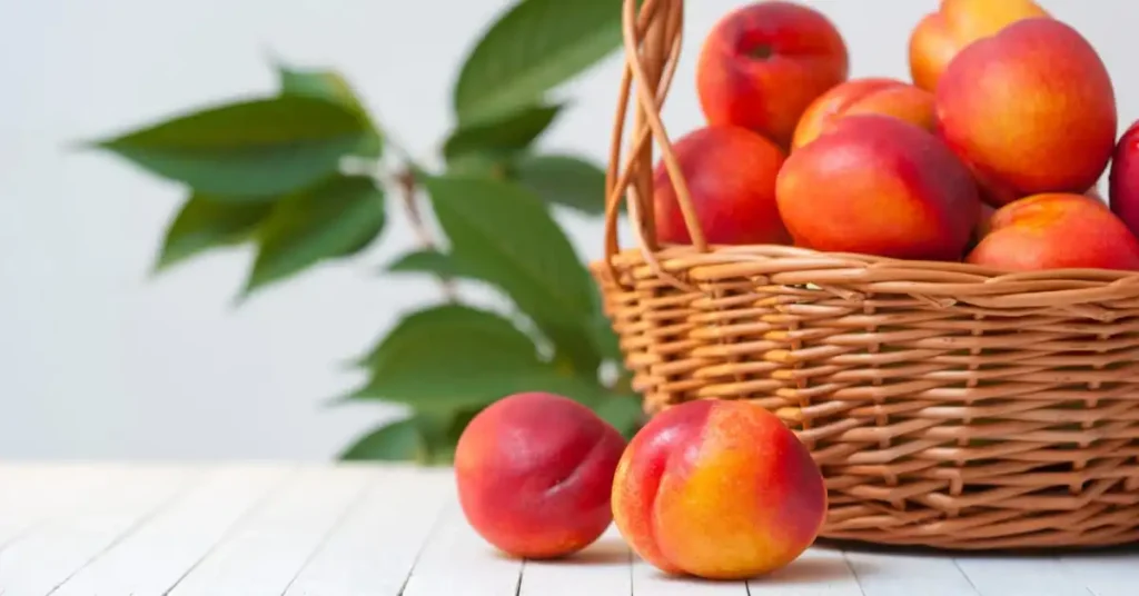 Peach-colored fruits