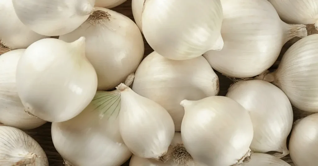 White onions are grown in well drained soil