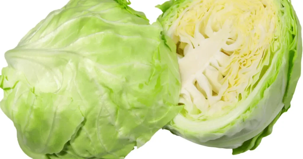 Leafy green Cabbage