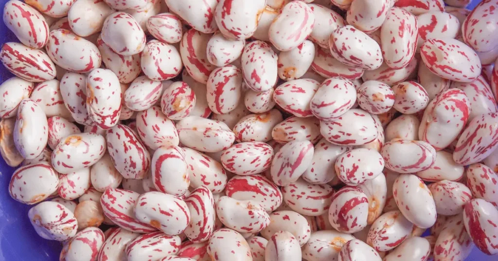 Cranberry Beans ( Pink Foods)