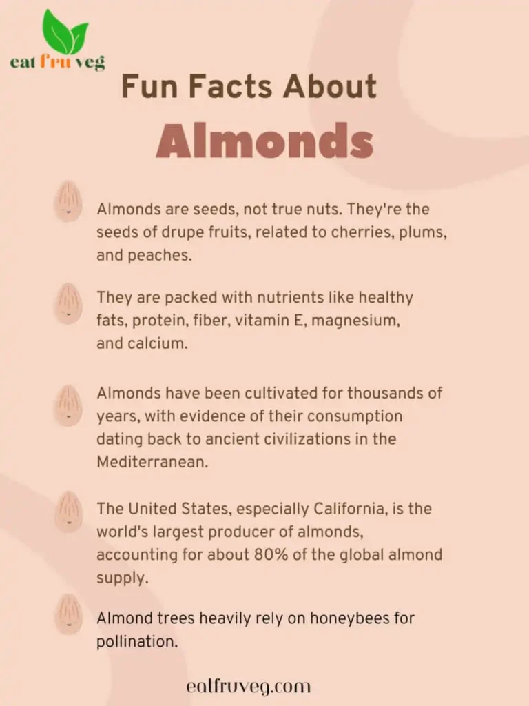 Info graph about funfacts of Almonds