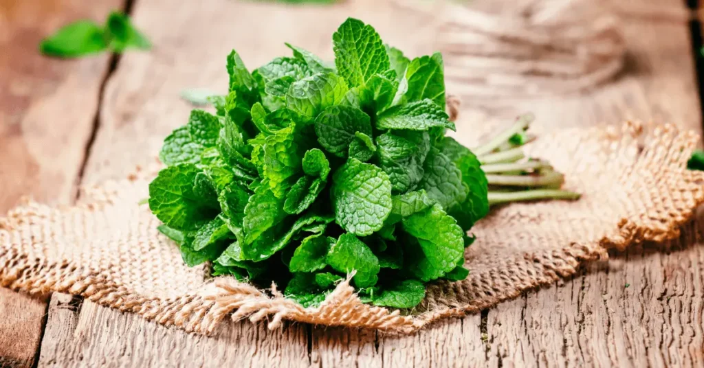 Mint ( For digestion)