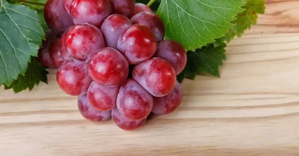 Red Grapes best for cardiovascular patients