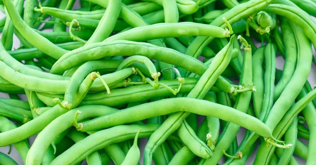 Asparagus Beans