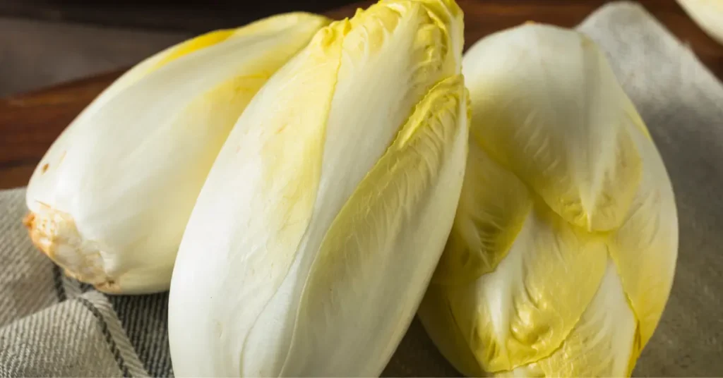 Vegetables That Start With E (Endive)