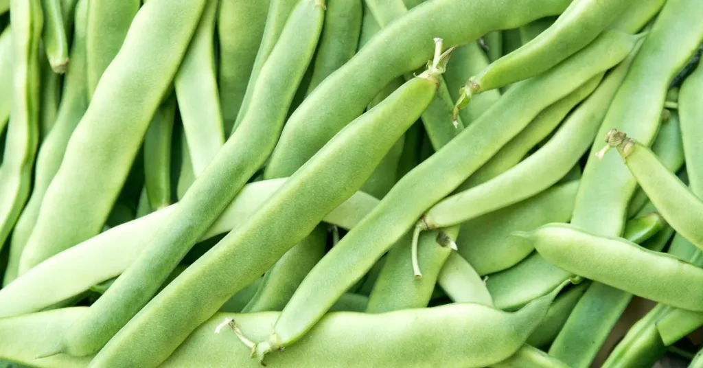 Flat Beans