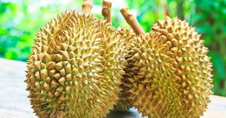 How to Identify and Enjoy Green Fruits with Spikes