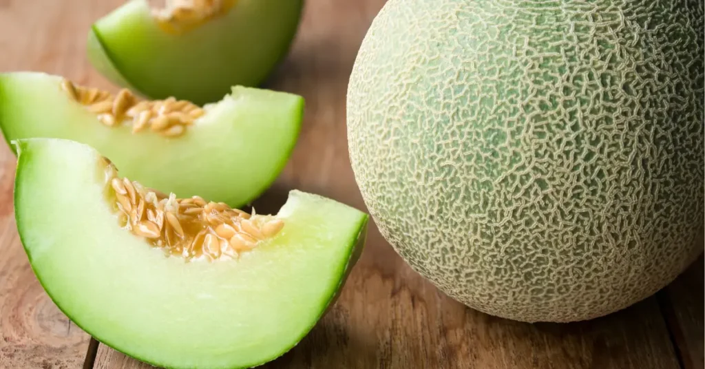 Green Melon Fruit