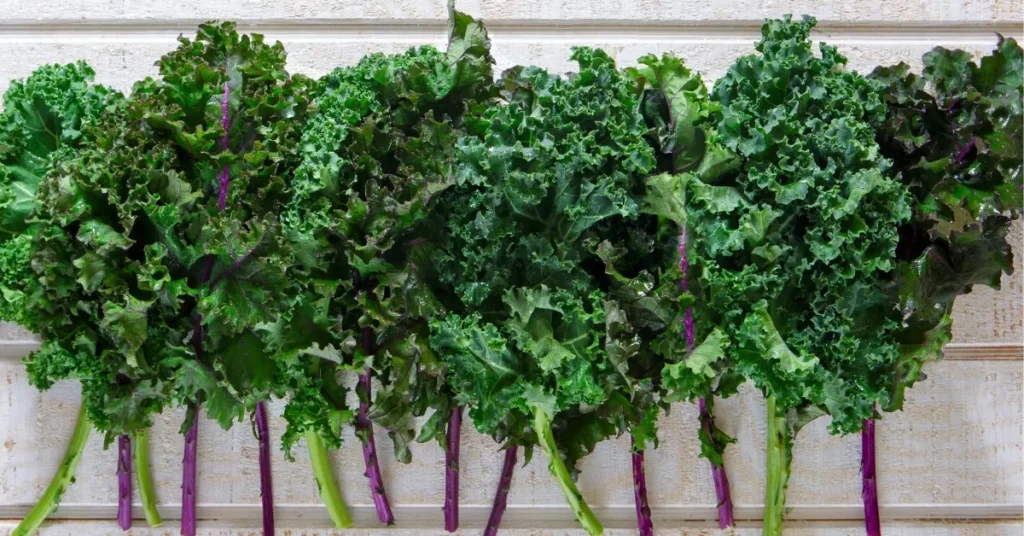 Fresh Organic Kale 